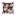 Almofada Veludo Estampada Modelo 9 52X52cm - Decortextil